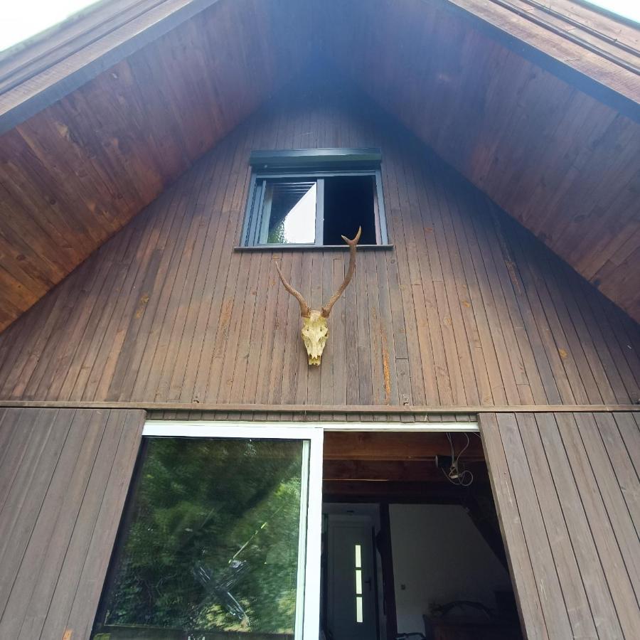 Chalet- Vallee De Luchon - Vallee De La Pique Cierp Exteriör bild